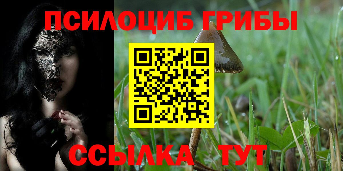 Малгобек  Галлюциногенные грибы мицелий  Вход с VPN 
