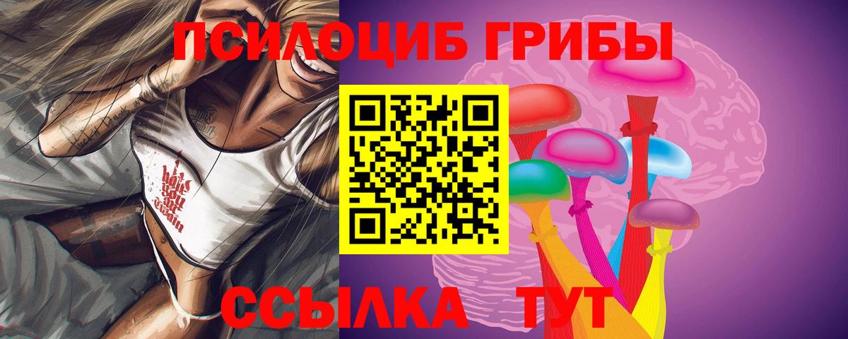 Псилоцибиновые грибы Cubensis Малгобек