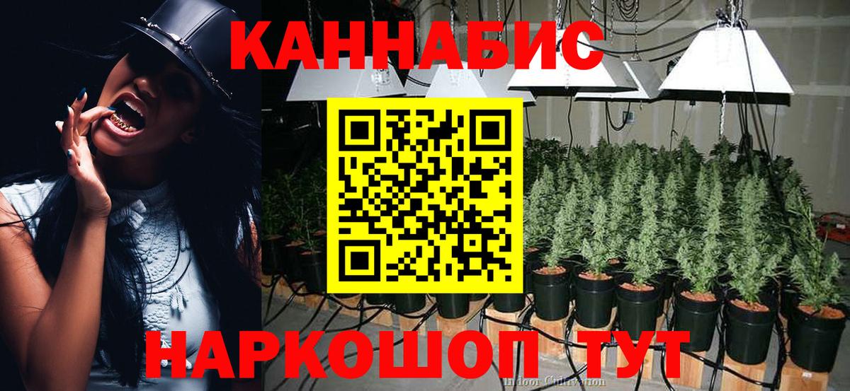 МАРИХУАНА сатива Малгобек